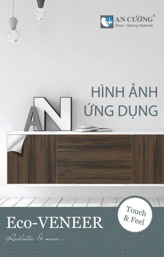 ứng dụng veneer